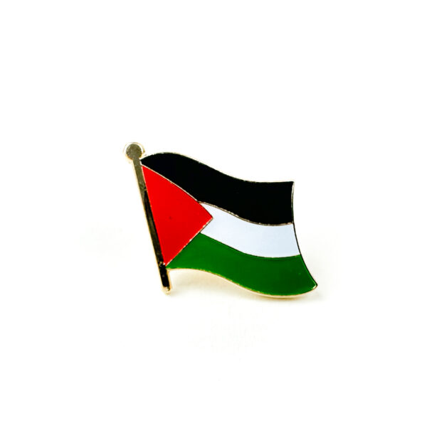 Stand with Gaza Palestinian Flag Pin